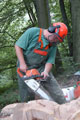Click to see it big Ich mit Kettensäge, Impression aus dem Wald